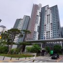 새빛공인중개사사무소 이미지