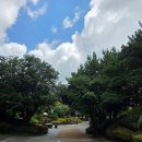 일출환경 | 제주도 여행 : 성산일출봉 인근 가볼만한 곳 일출랜드 용암동굴 미천굴·동백족욕 후기
