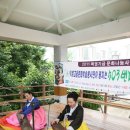 분도와안나개미꽃동산 Daum카페