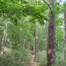 지리산거림계곡 이미지