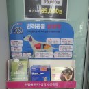 파주 동물약국 이미지