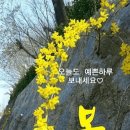 귀부인 Daum카페