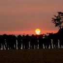 진하해수욕장 이미지