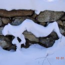 용이랑 백호랑 이미지