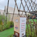 정숯불바베큐 | 부산 정관 글램핑 바베큐 [구름바베큐팩토리] 이용후기 (feat. 젬스톤 정관인더숲)