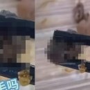 부연식당