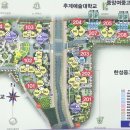 복성초 이미지