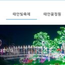 농업회사법인 낭도파크㈜ | 태안빛축제 행사 내용 장소 입장료