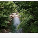 칠선농산물 Daum카페