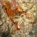 모항해수욕장 이미지