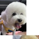 프랑소와펫 AK광명점 이미지