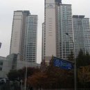 분당-174 네이버블로그