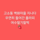 여수딸기찰떡 | [여수]고소동 벽화마을 지나다 우연히 들어간 플라피 여수딸기찰떡