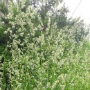 덕풍농장 이미지