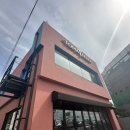 토마틸로 포항점 | [포항 북구] 멕시코 요리 영일대 밥먹을만한 곳 <토마틸로 포항점> 내돈내산 후기리뷰