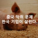 케이이디환경