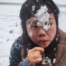 나나쉬폰 이미지