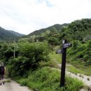 소백산 자락길 이미지