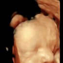 더 품은 이미지