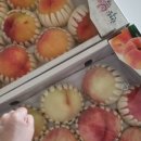 이순농장 이미지