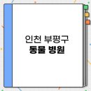 아프리카 동물의료센터 | 인천 부평구 24시 야간까지 운영하는 동물 병원 BEST 3 추천 | 저렴한 곳