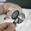 썬메디텍 이미지