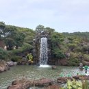 퍼피가든 이미지