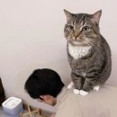 사랑한스푼 이미지