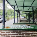 주식회사 숲속숯가마 | (100%내돈내산)딸과 함께 다녀온 용인 기흥 ‘숲속숯가마’ 솔직 후기 / 이용 꿀팁 🌿🔥
