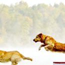 몽글 몽글 이미지