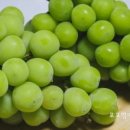 품절남마트