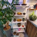 오복카페 이미지