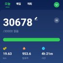 10월의 여덟번째날...오늘의 도전은~?? 이미지