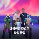 (주)위코퍼레이션 | 5살과 다녀온 갤럭시 로봇파크 후기｜예약 매진이라면? 공연 좌석 꿀팁까지