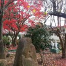 칠서초등학교이령분교장 이미지