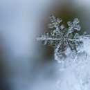 수지한의원 이미지