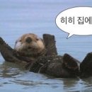 소확행 이미지