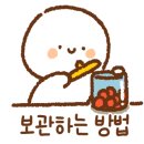 제주미르 이미지