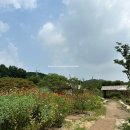 [화성/비봉] 한옥 카페 화림원 후기