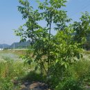 덕곡농장 이미지