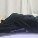 바디다짐 | 에르고바디 쉐이피슬림백 아이돌 등마사지 승모근 내리는 운동 내돈내산 후기