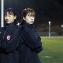 이뮤노텍 이미지
