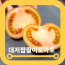 대저농업협동조합 대저짭짤이토마토 2.5kg 당도후기