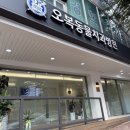 일로동물병원 | 강아지 발치 수술 결정과 오복동물치과병원 이성혁 원장님 초진 후기