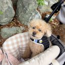 수리산도립공원 매쟁이골(입구) 이미지