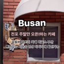 머즐스