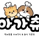 아가츄 이미지