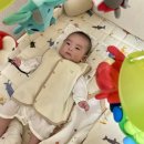 [육아용품] 일룸 쿠시노침대