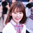 사쿠라 이미지