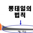 롱테일